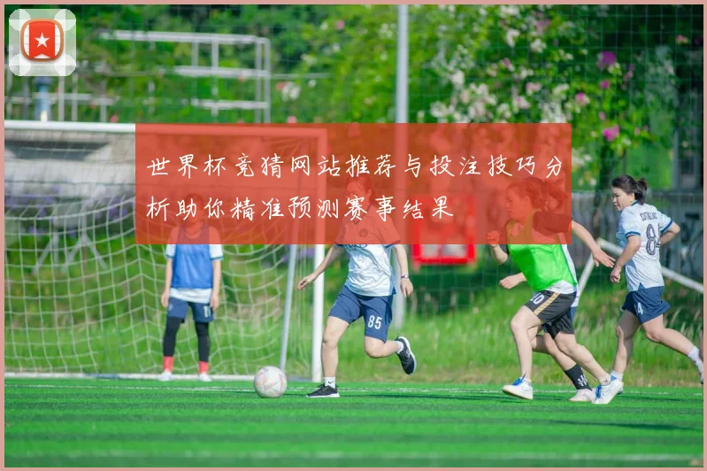 世界杯竞猜网站推荐与投注技巧分析助你精准预测赛事结果