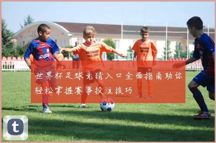 世界杯足球竞猜入口全面指南助你轻松掌握赛事投注技巧