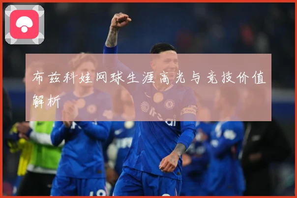 布兹科娃网球生涯高光与竞技价值解析