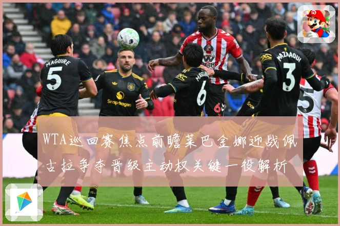 WTA巡回赛焦点前瞻莱巴金娜迎战佩古拉争夺晋级主动权关键一役解析