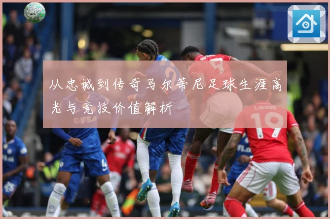 从忠诚到传奇马尔蒂尼足球生涯高光与竞技价值解析