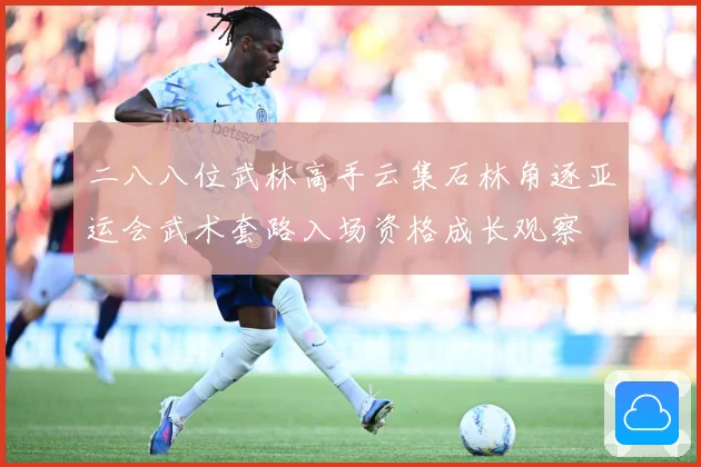二八八位武林高手云集石林角逐亚运会武术套路入场资格成长观察
