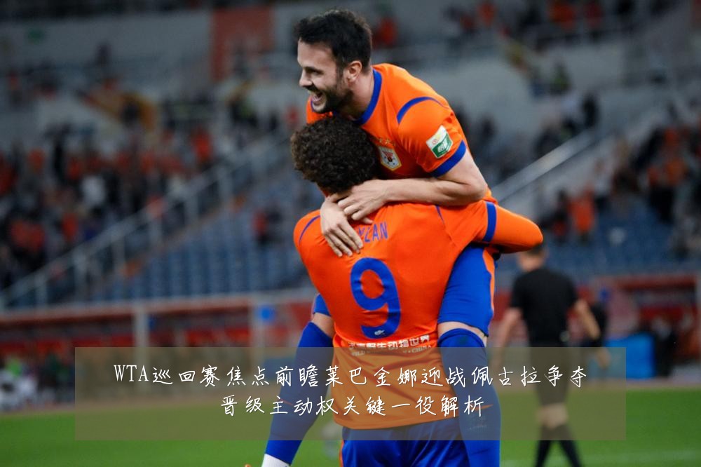 WTA巡回赛焦点前瞻莱巴金娜迎战佩古拉争夺晋级主动权关键一役解析