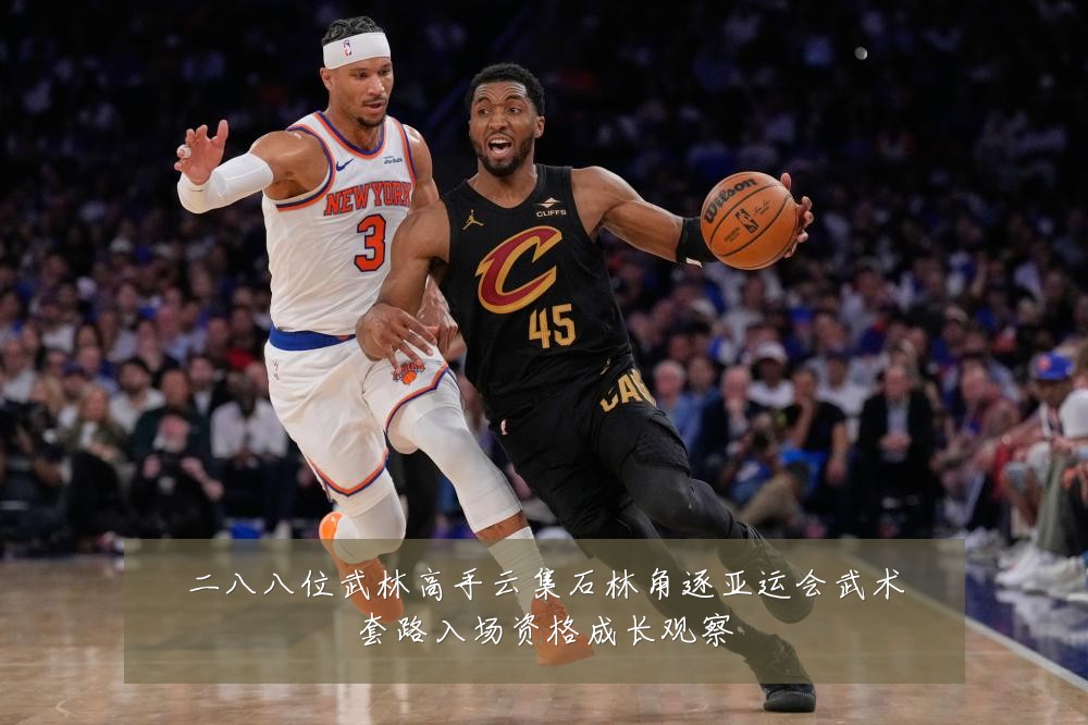 二八八位武林高手云集石林角逐亚运会武术套路入场资格成长观察