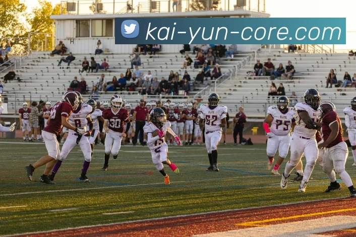 开云平台展示图