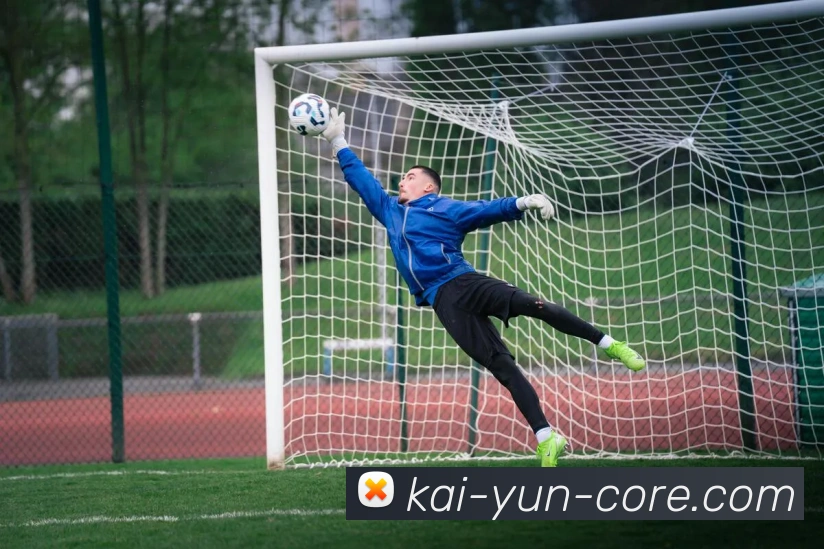 开云官网全站App